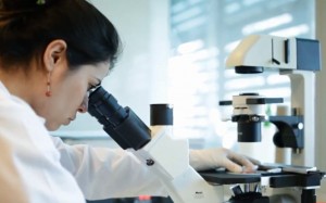 Laboratorio