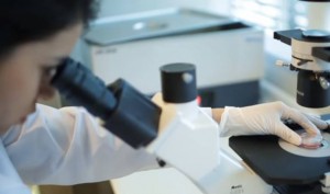 Investigación UA