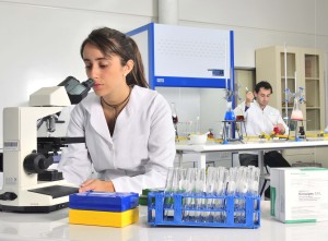 investigación
