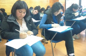 Ensayo PSU
