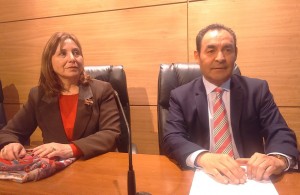 Charla SII Auditoría