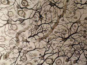 Neuronas1