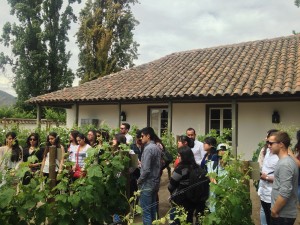 Visita Viña Santa Rita1