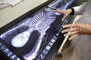Anatomage1