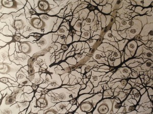 Neuronas1 baja