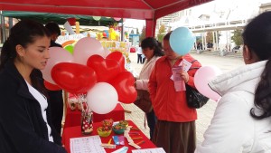 feria enfermería 1