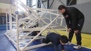 Festival Motriz P Ed Fisica