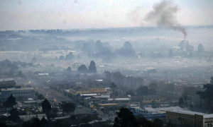 maule humo