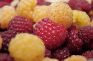 obesidad-espana-y-latam-santiago-2