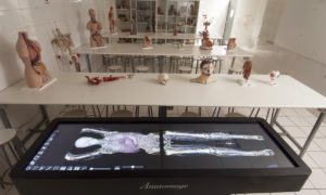 anatomage-lab