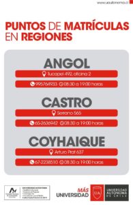 punto matrícula regiones