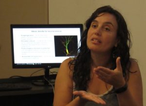 Santiago seminario Neurociencias
