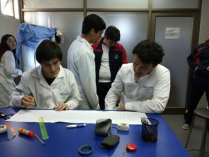 Estudio Densidad Ósea Escolares 2