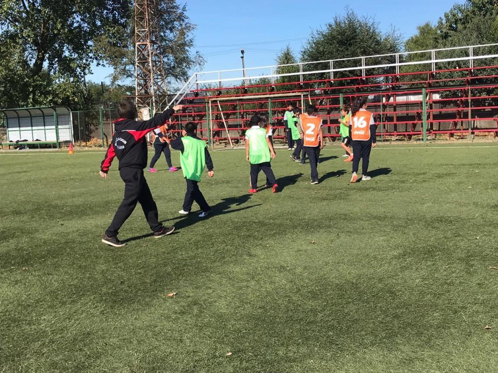 pedagogía educación física 11