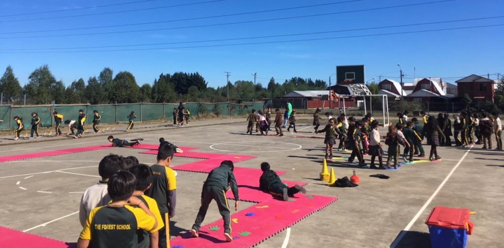 pedagogía educación física 13