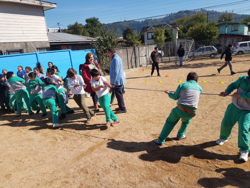 pedagogía educación física 17