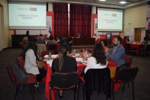 UA Consejo Asesor Regional 1