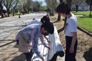 UA Pintado de escanos Alameda 3