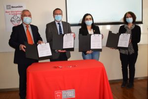 UA Red Disciplinaria de Lenguaje 1