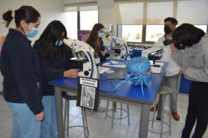 Curso Introduccion a la Medicina 2