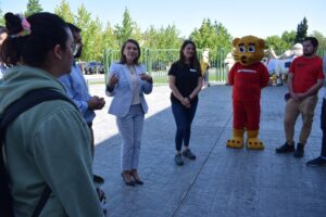 UA Trabajos Voluntarios 2