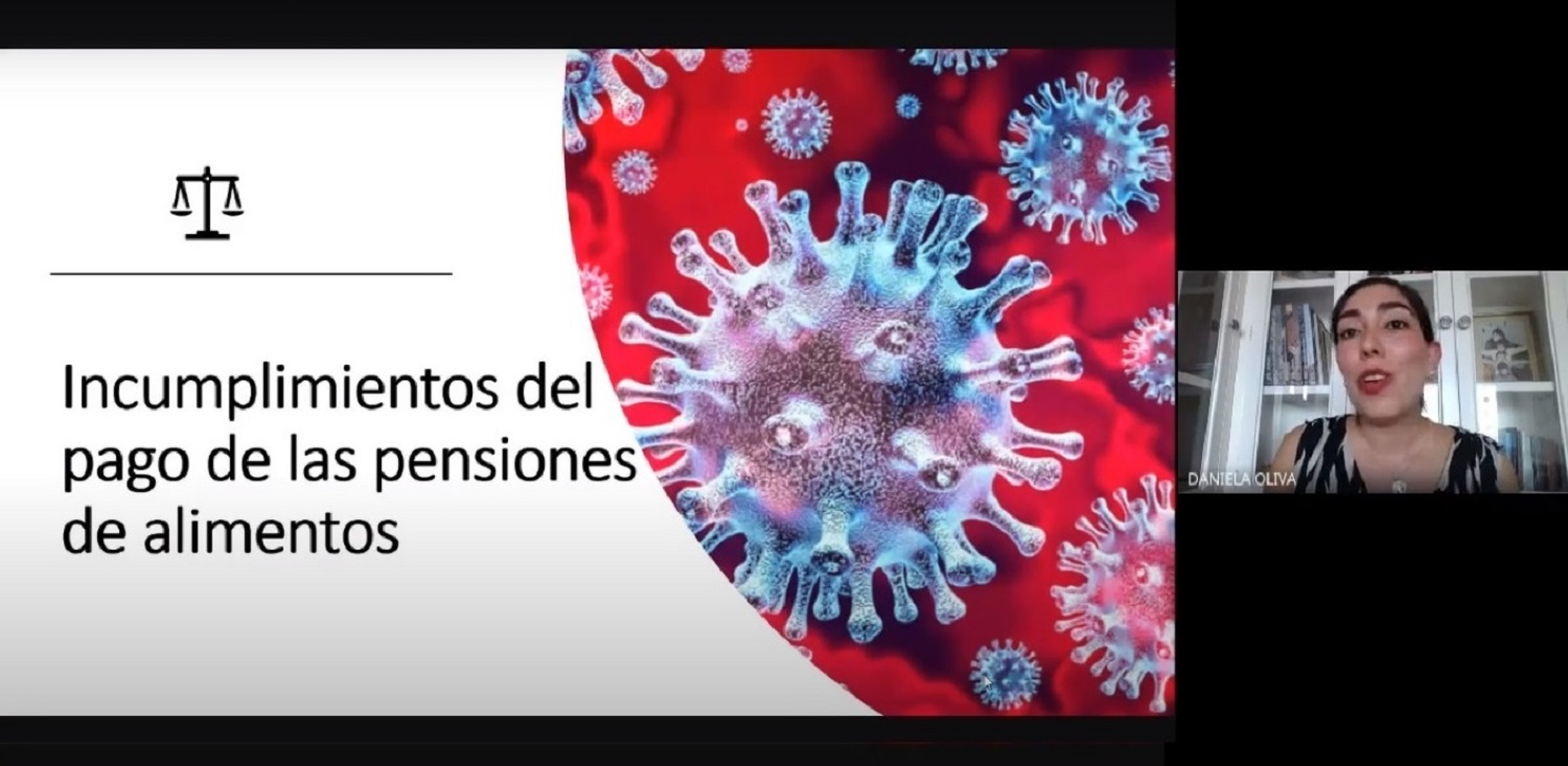 Directora de Clínica Jurídica UA abordó funcionamiento de Tribunales de Familia durante crisis sanitaria