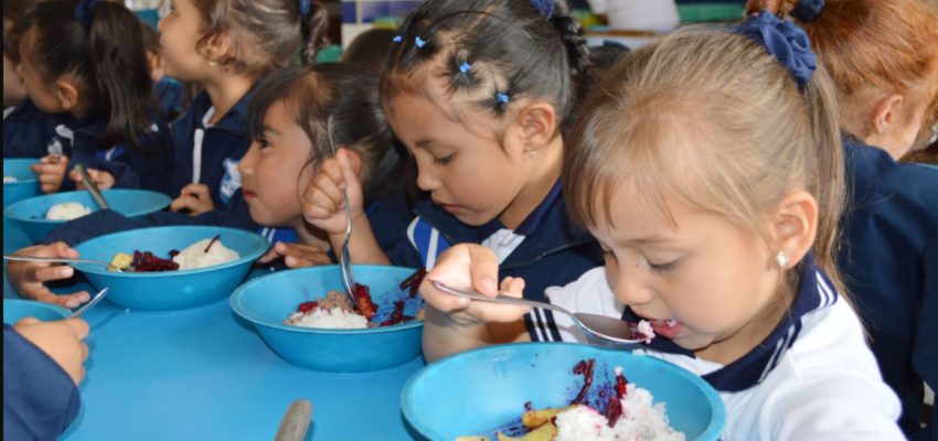 Desafíos del Sistema de Alimentación Escolar: el debate se abre en la U. Autónoma