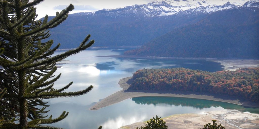 Desafío Descubre Araucanía: El proyecto que busca potenciar a las pymes turísticas de la región