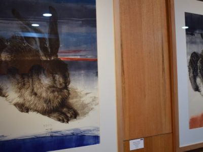 Galería de Arte inaugura exposición de artistas Cecilia Moya y Patricia Le Roy