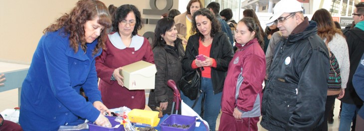 Feria de RSU y Voluntariado en Santiago reveló valiosas iniciativas estudiantiles