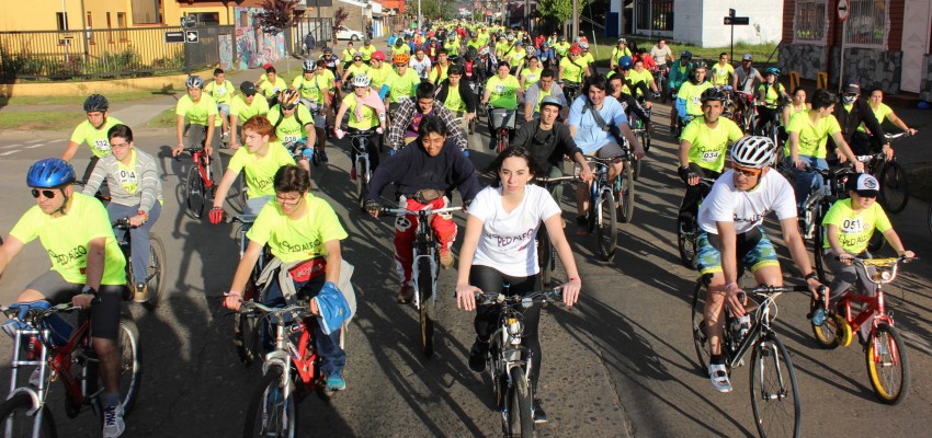 Más de 800 temuquenses pedalearon por una ciudad inclusiva