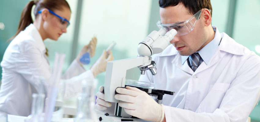 Investigadores chilenos y extranjeros exponen avances de estudios en consumo de alcohol
