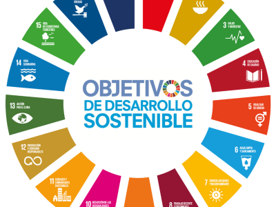 Experto plantea desafíos para educar para la sustentabilidad en sus diferentes dimensiones