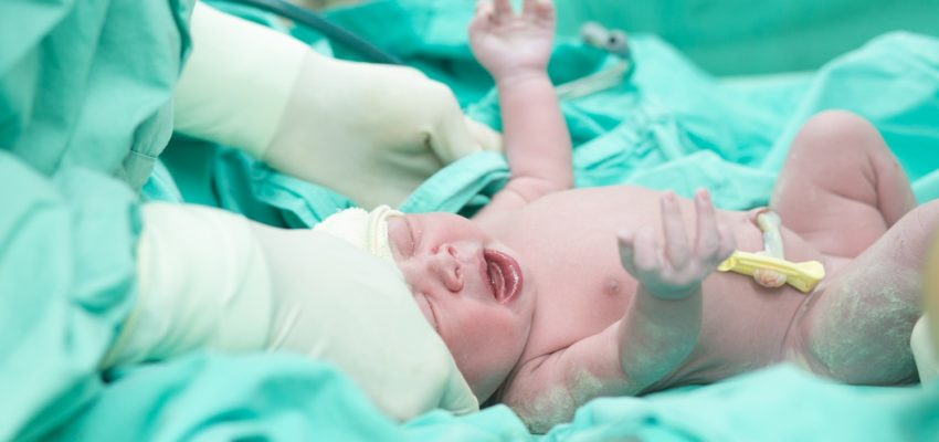 Obstetricia y Puericultura celebró el día de la profesión con actividades académicas y educativas