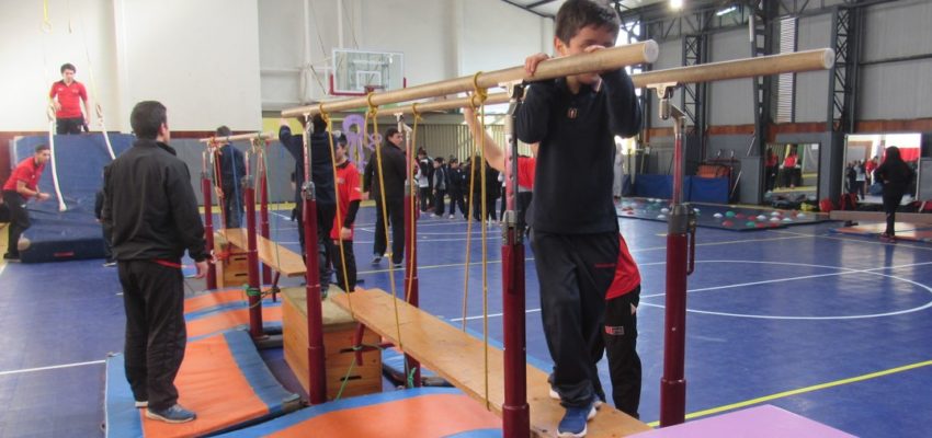 Escolares de San Miguel y Buin participaron en Festival Motriz de Pedagogía en Educación Física