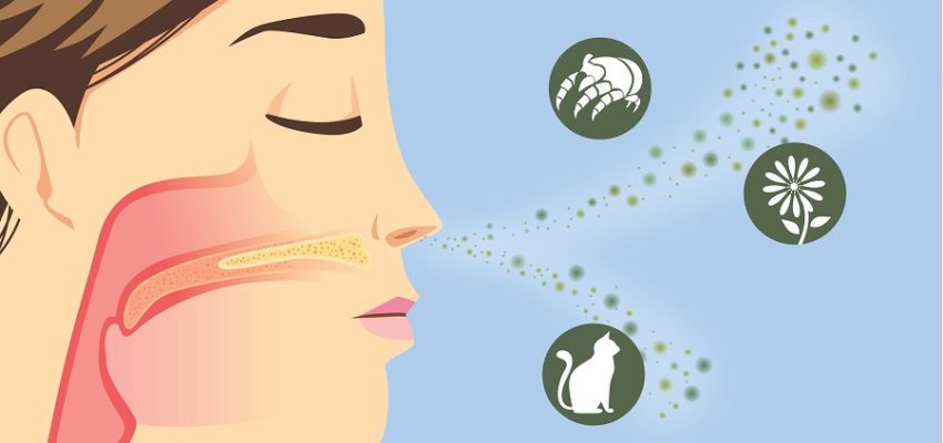 U. Autónoma dio a conocer primer proyecto en Ciencia Ciudadana: «Respira»