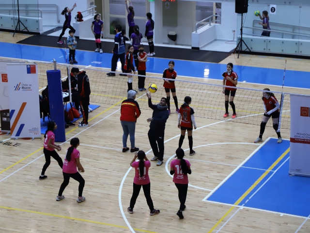 Encuentro de mini vóleibol reunió a 200 niños y niñas en la zona lacustre