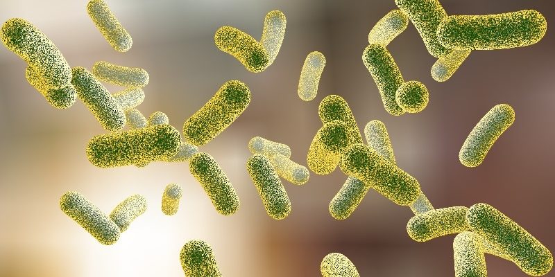 Académico de la U. Autónoma detalla investigación que le valió reconocimiento internacional