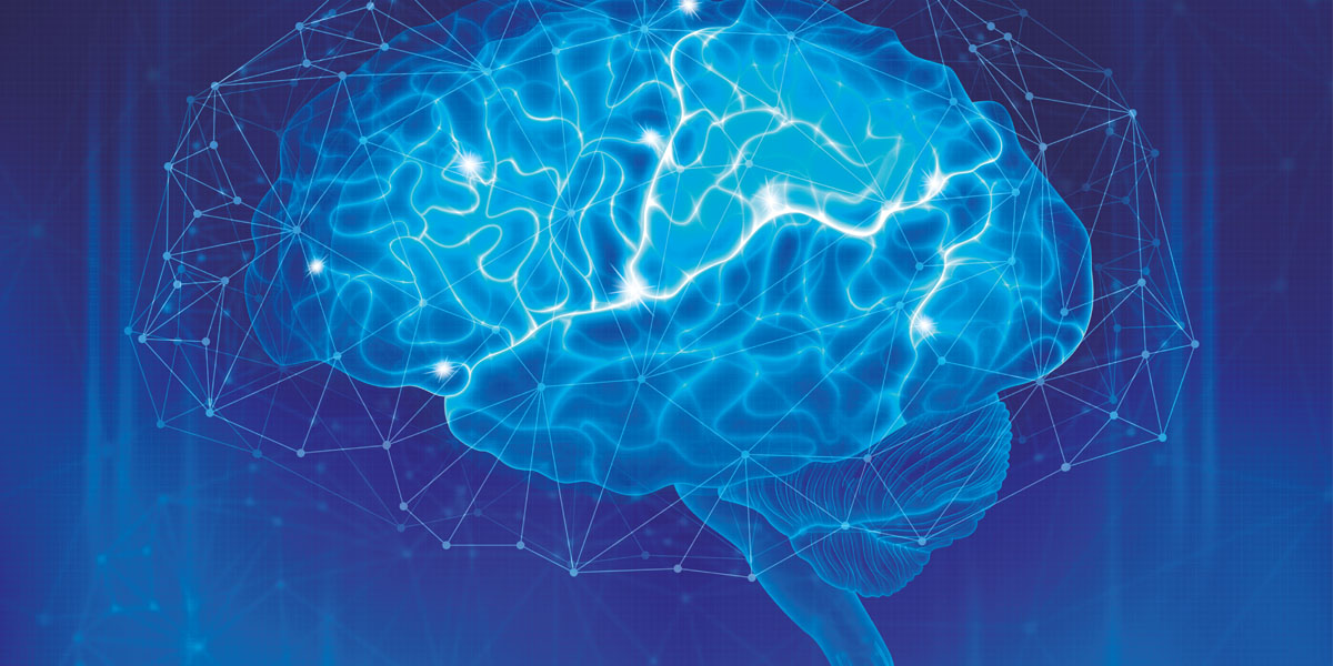 Charla del Dr. Terrence Deacon sobre la “Evolución del Cerebro”