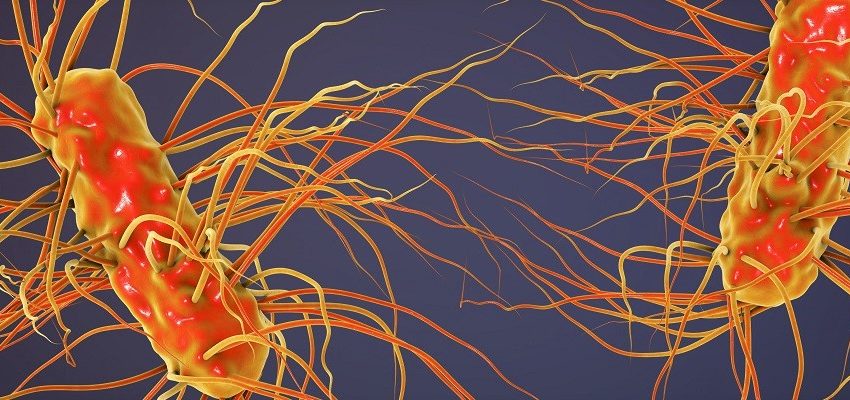 Obstetricia previene sobre enfermedades infecciosas