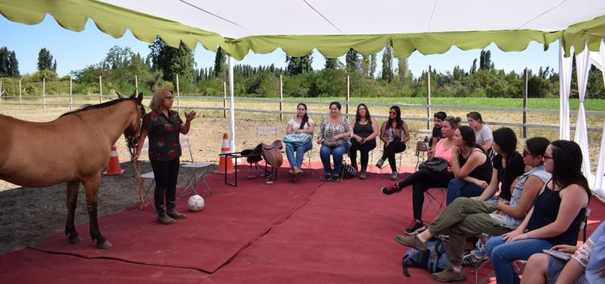Primeros Auxilios y Equinoterapia destacan en las Escuelas de Verano 2017