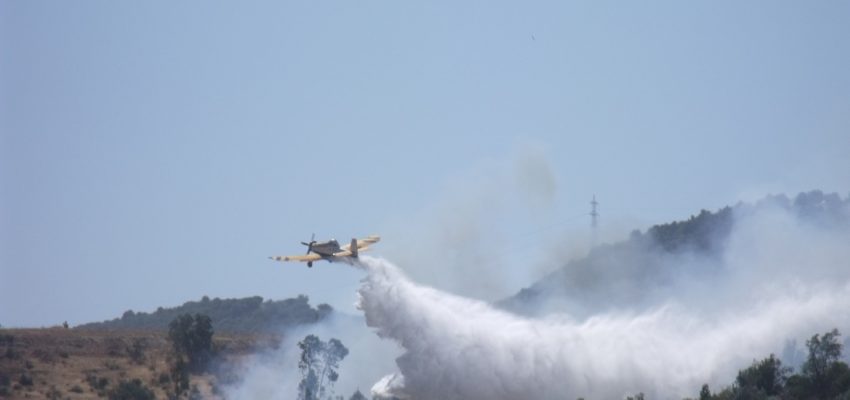 Incendios forestales: daño económico importante e irreversible impacto ambiental