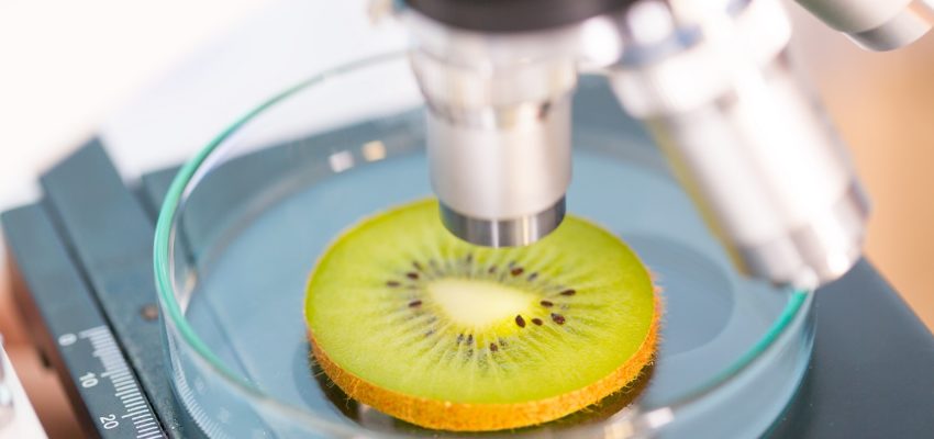 Tecnología desarrollada en Laboratorio de Innovación de la Autónoma se adjudica Concurso CORFO