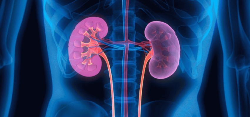 Investigador aborda desarrollo de la enfermedad renal crónica y apunta a nuevas terapias