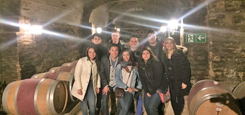 Estudiantes internacionales UA realizan salida cultural a la Viña Santa Rita