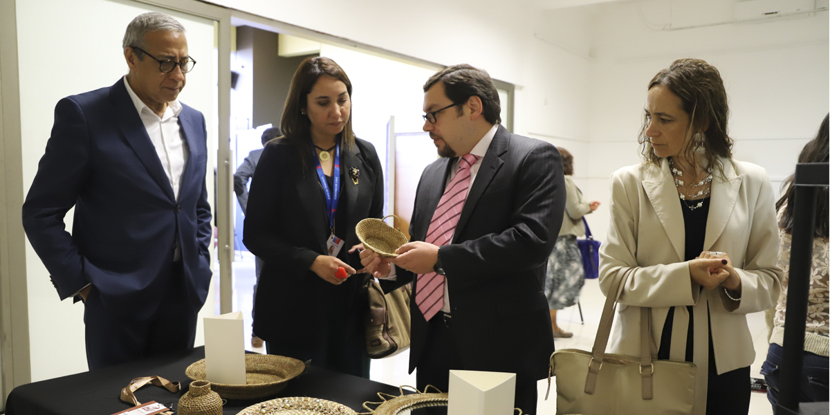 Seminario Regional de Artesanía reunió a 250 personas en Padre Las Casas
