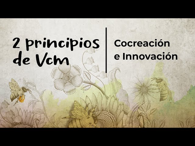 universidad autonoma vcm cocreciacion e innovacion