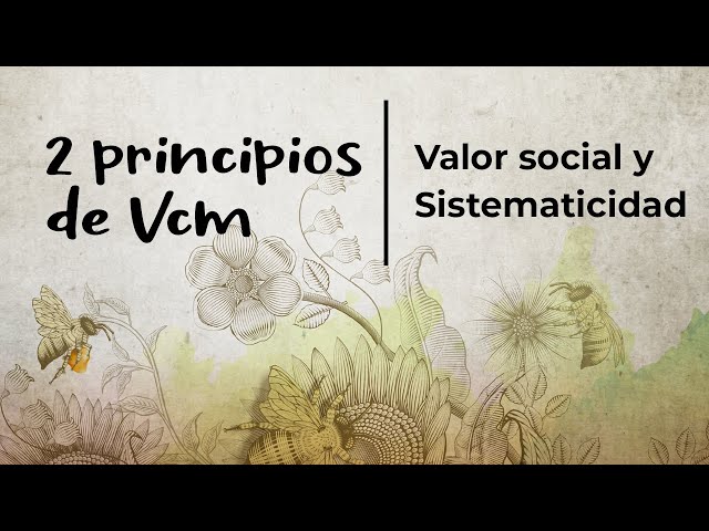 universidad autonoma vcm valor social y sistematicidad