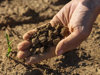 Seminario regional «Reducción de los Riesgos del Cambio Climático, ¿Estamos Preparados?» reúne a expertos en Temuco