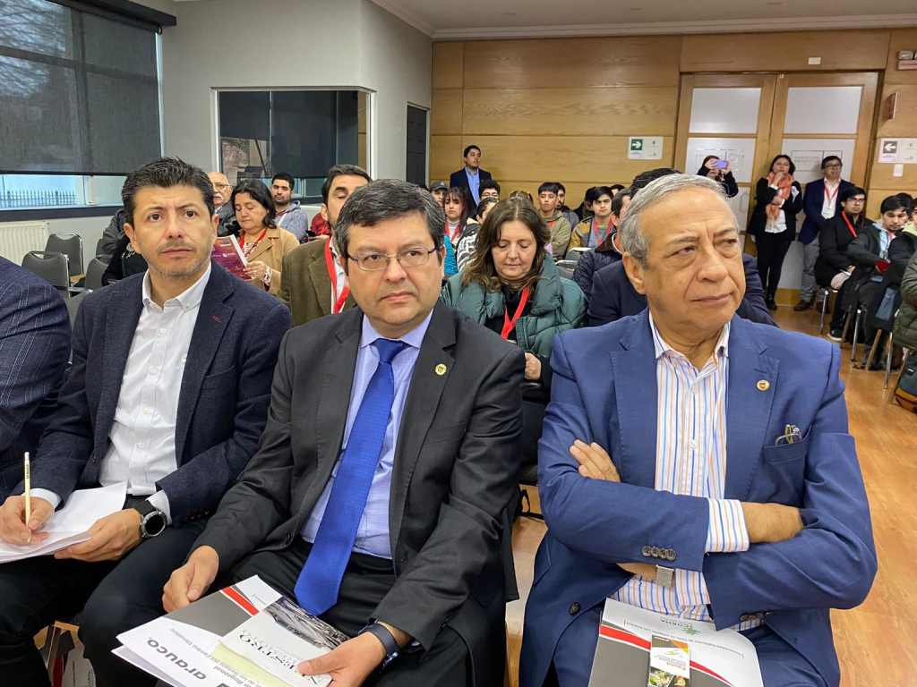 Seminario regional Temuco